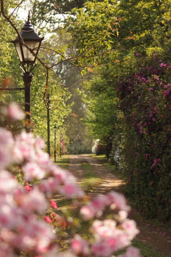 Villa The Knoll Historic Guest Farm Hilton Esterno foto