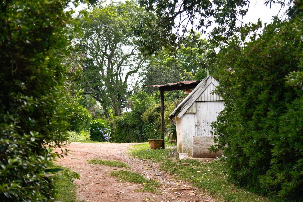 Villa The Knoll Historic Guest Farm Hilton Esterno foto