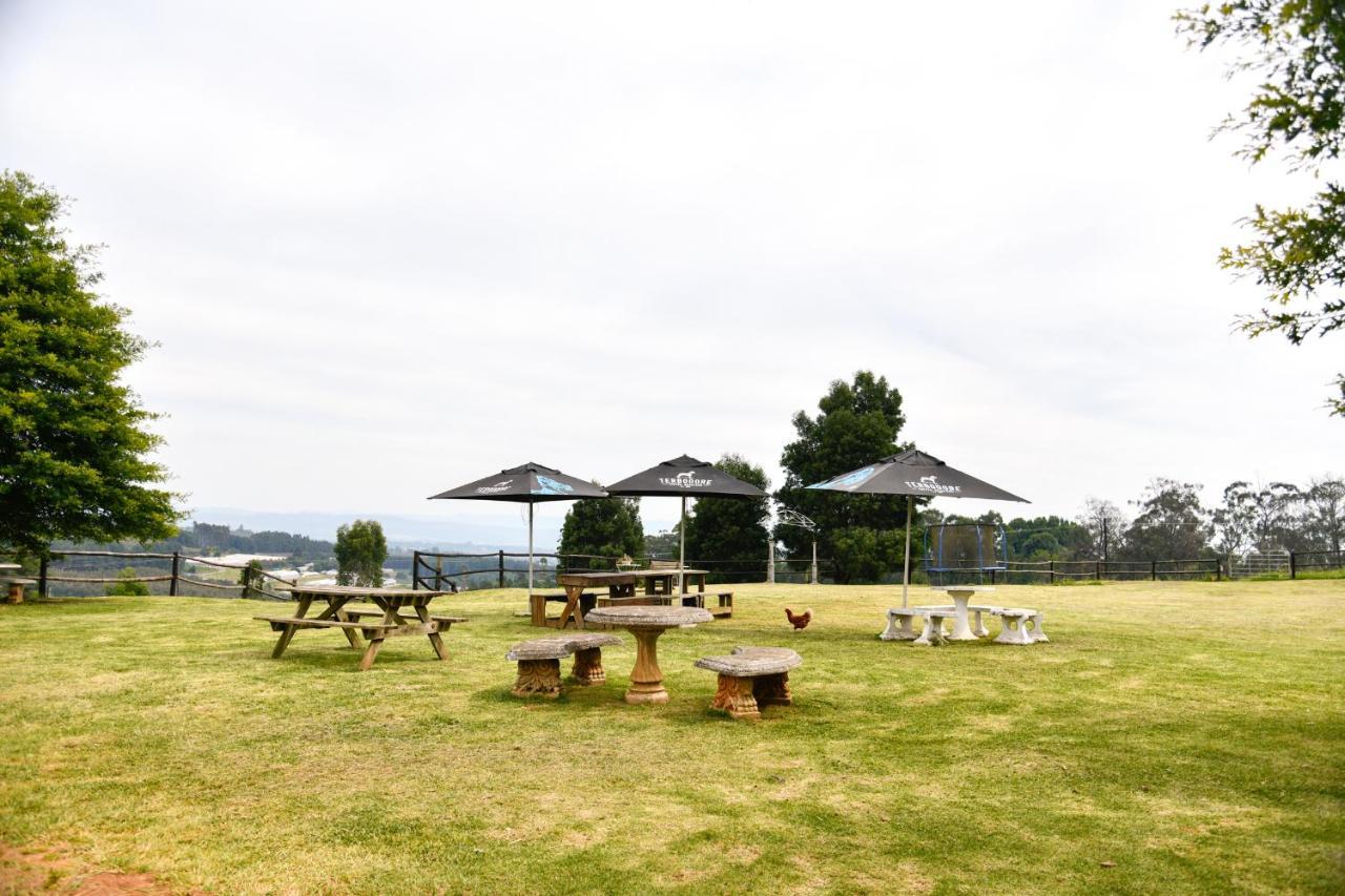 Villa The Knoll Historic Guest Farm Hilton Esterno foto