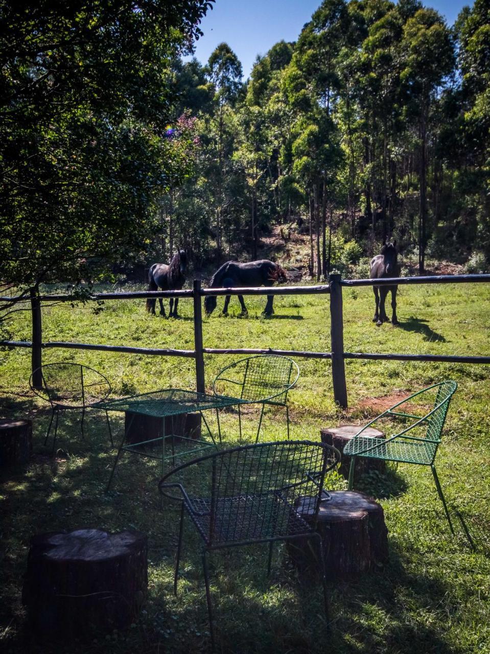 Villa The Knoll Historic Guest Farm Hilton Esterno foto